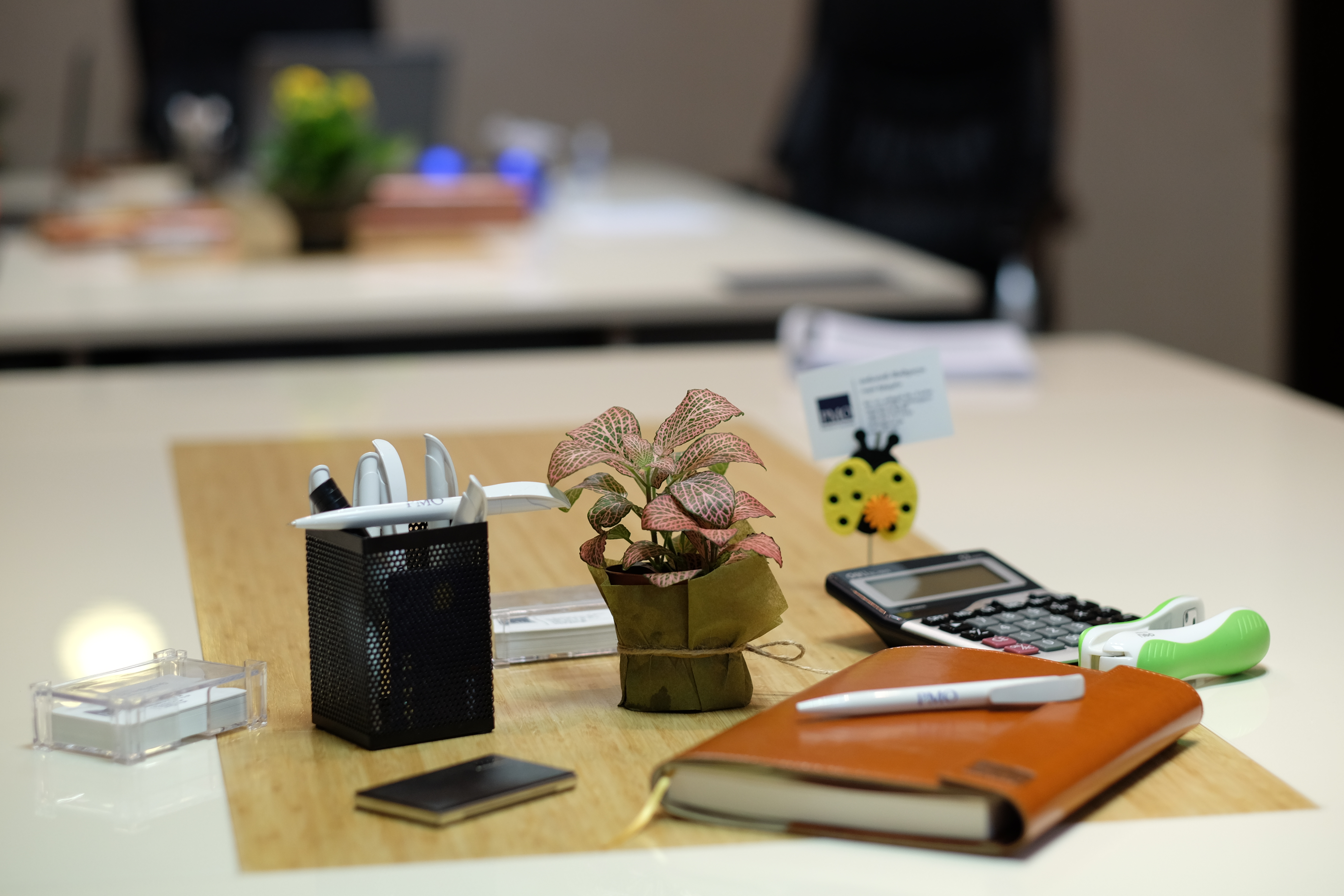 Consulting >>> Executive Round table session (ERT) on Fundraising